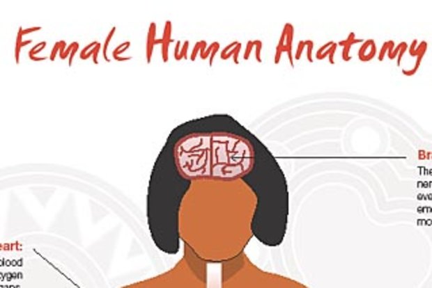 Wrong body parts that would make the stomach turn