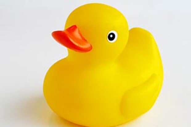 Toys Make Like Ducks And Get The Flock Out Of There