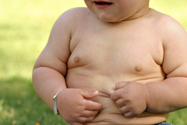 Put chubby toddlers on a diet: report