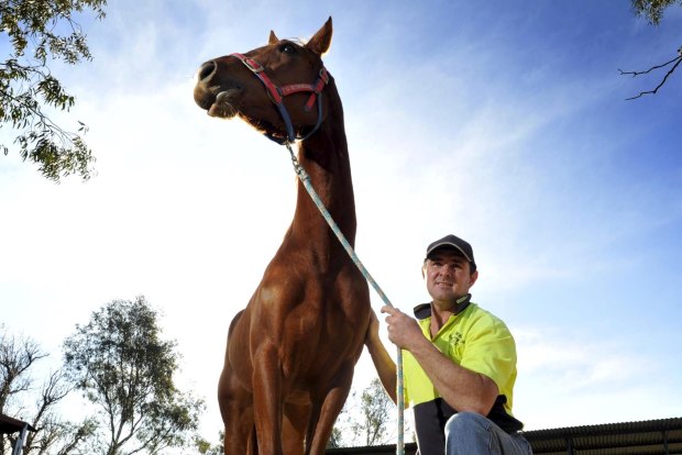 Spare Parts: the five-legged racehorse makes her way to the track