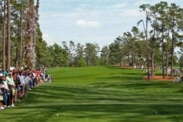 Eisenhower Tree Just A Memory At Augusta