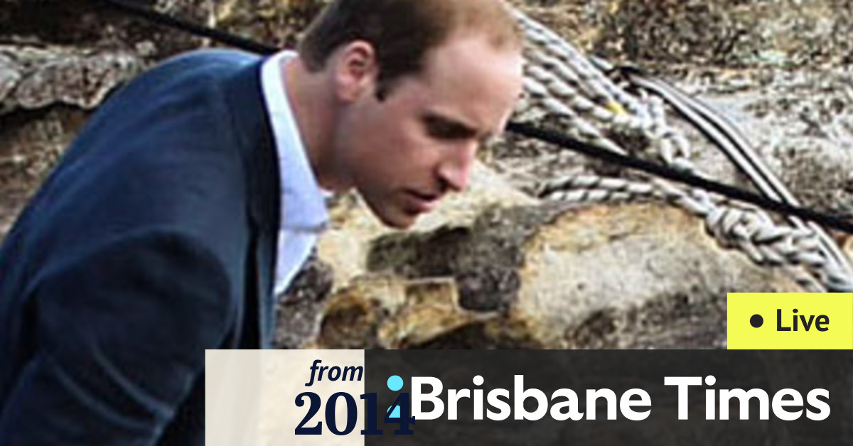 Royal tour 2014: Prince William, Catherine, Duchess of ...