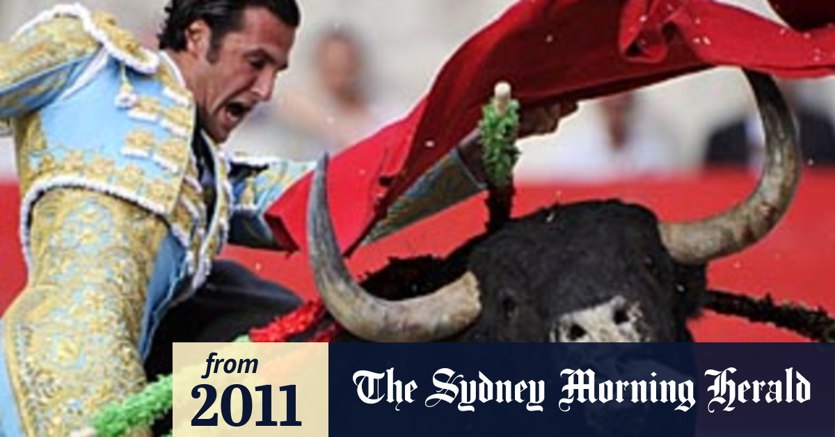 Bullfighting opinion essay image