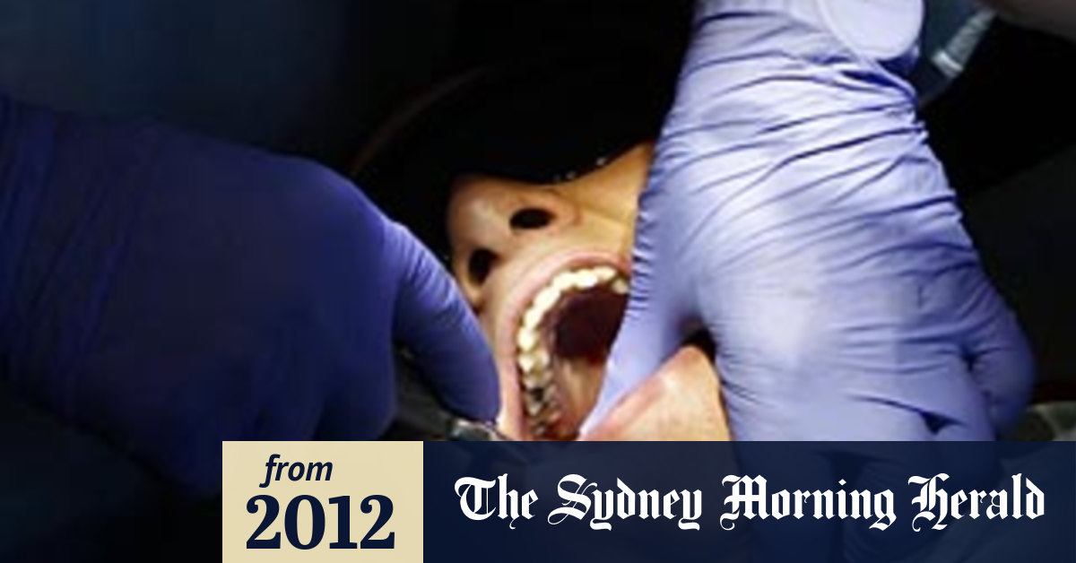 Model essays for o levels english image