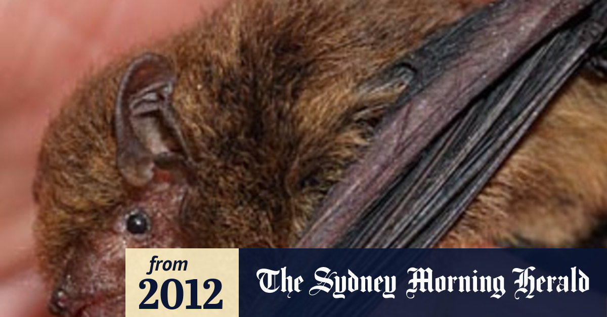 Unmourned Death Of A Sole Survivor