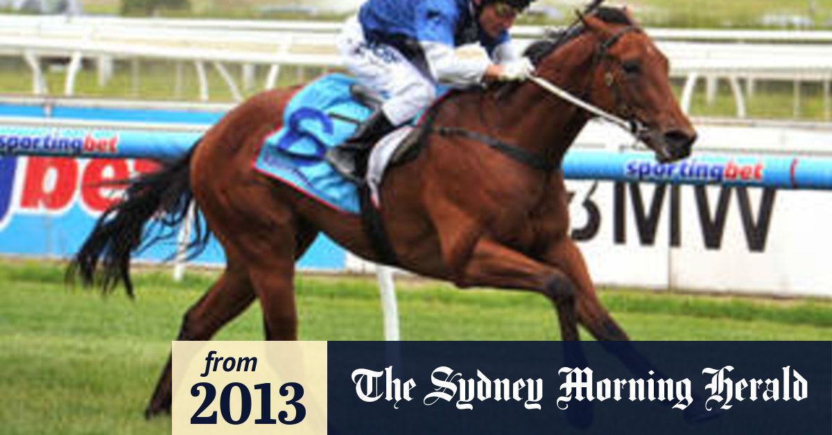 Racing Victoria integrity team probes BC3 Thoroughbreds