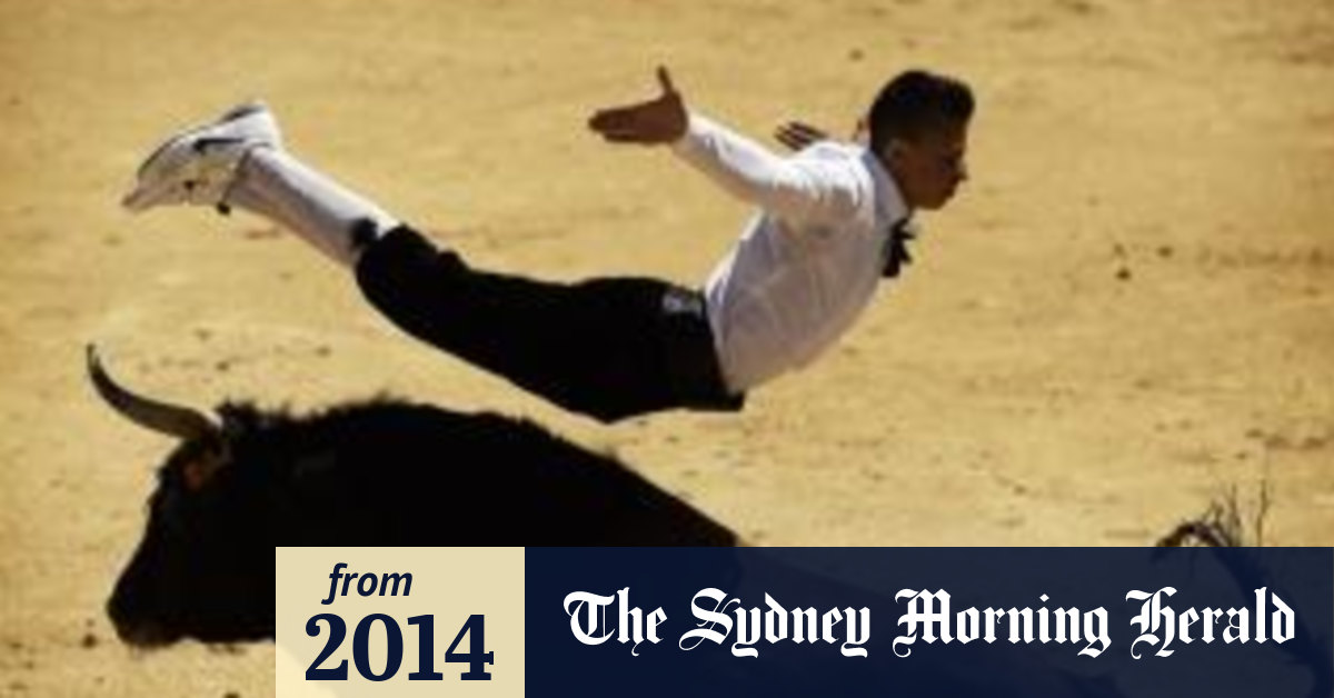 A new kind of bullfighting
