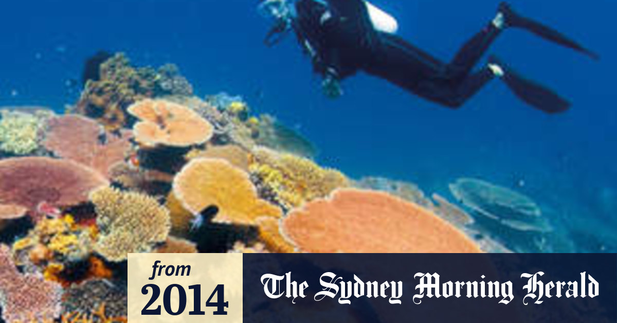 Deutsche Bank won't fund Abbott Point coal port expansion ...