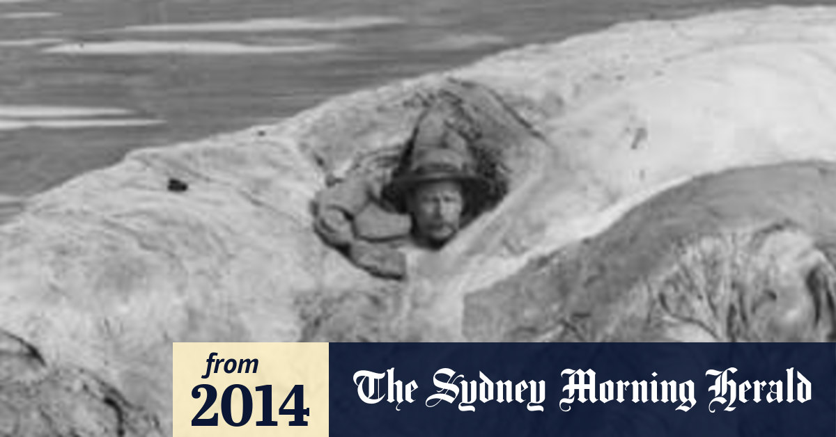 Bugün öğrendim ki: 20 yüzyılın başlarında...