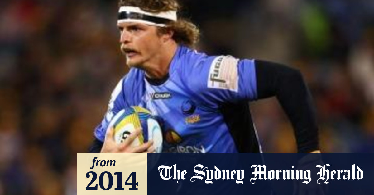 Honey Badger Nick Cummins Eyes Super Rugby Return In 2015