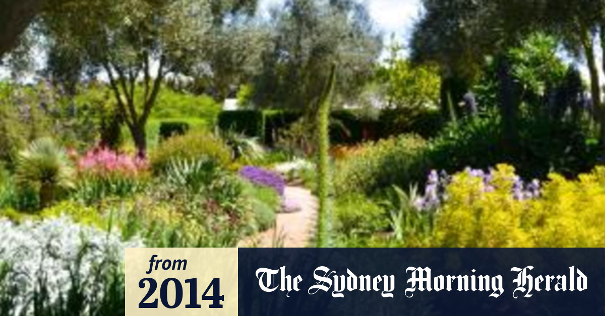 Buying Plants Online Ideal For Adding Perennials To Your Garden
