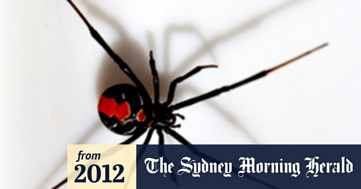 What happens if you get bitten by a radioactive spider?