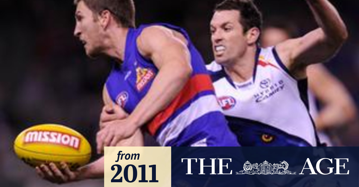 Primary Colours For Dogs