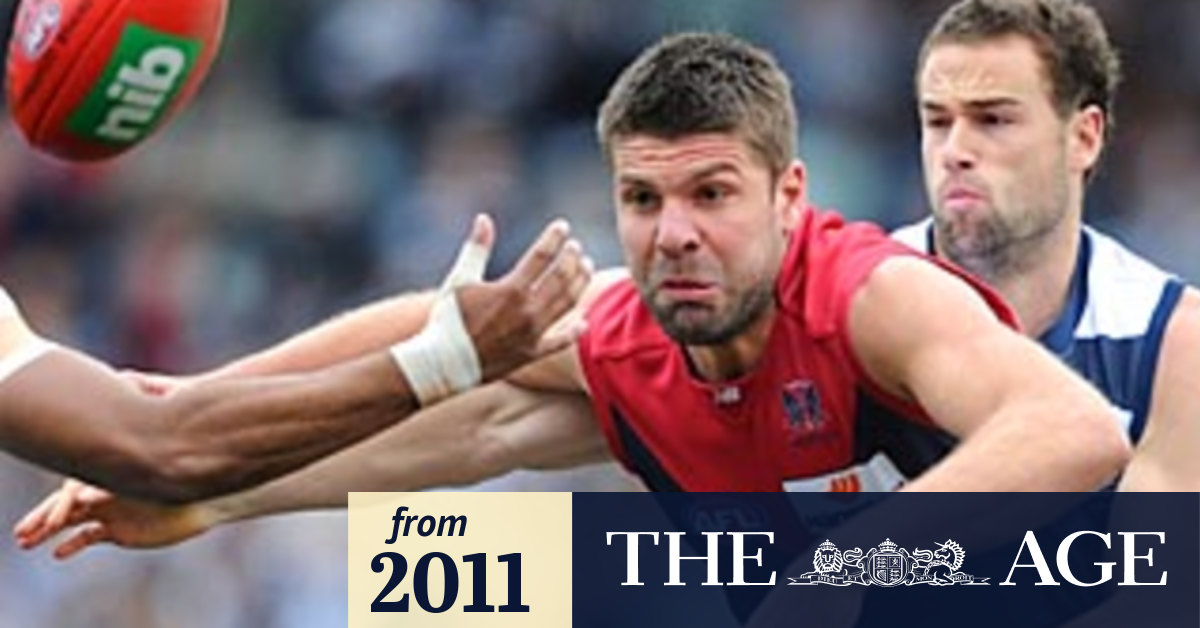 Bailey In The Gun And He Knows It