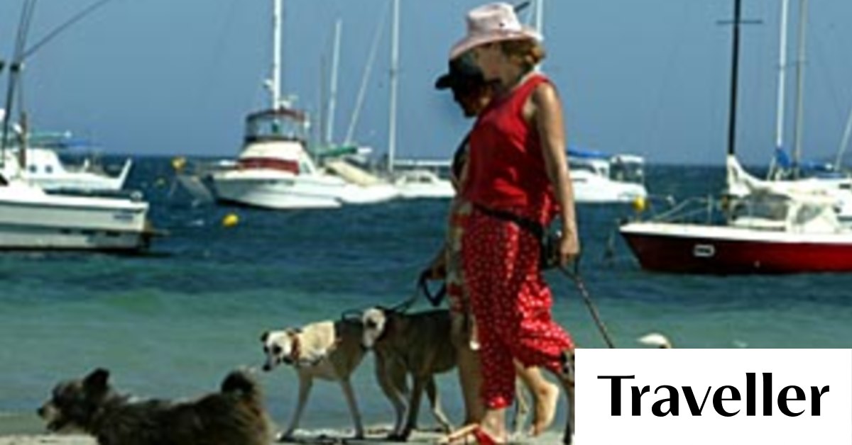 On the road Catherine Naylor