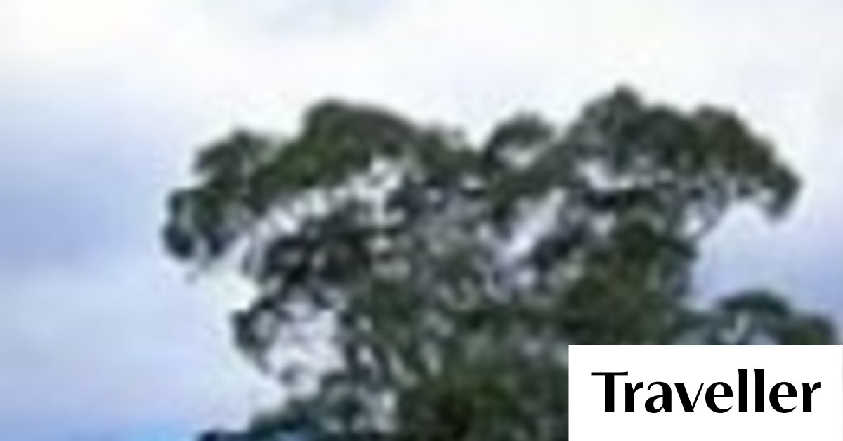 Binnaway, New South Wales Travel guide and things to do