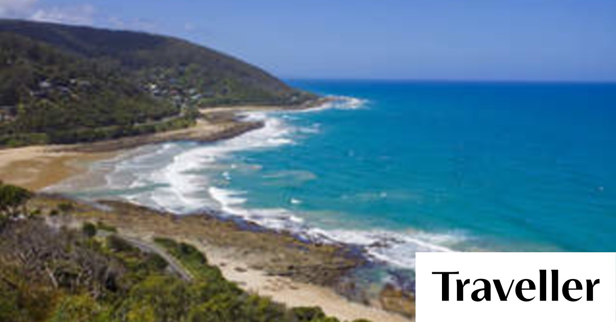 Morley house, Wye River review A bear out there