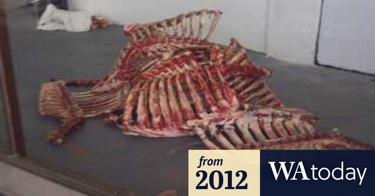 Getting creative with carcasses