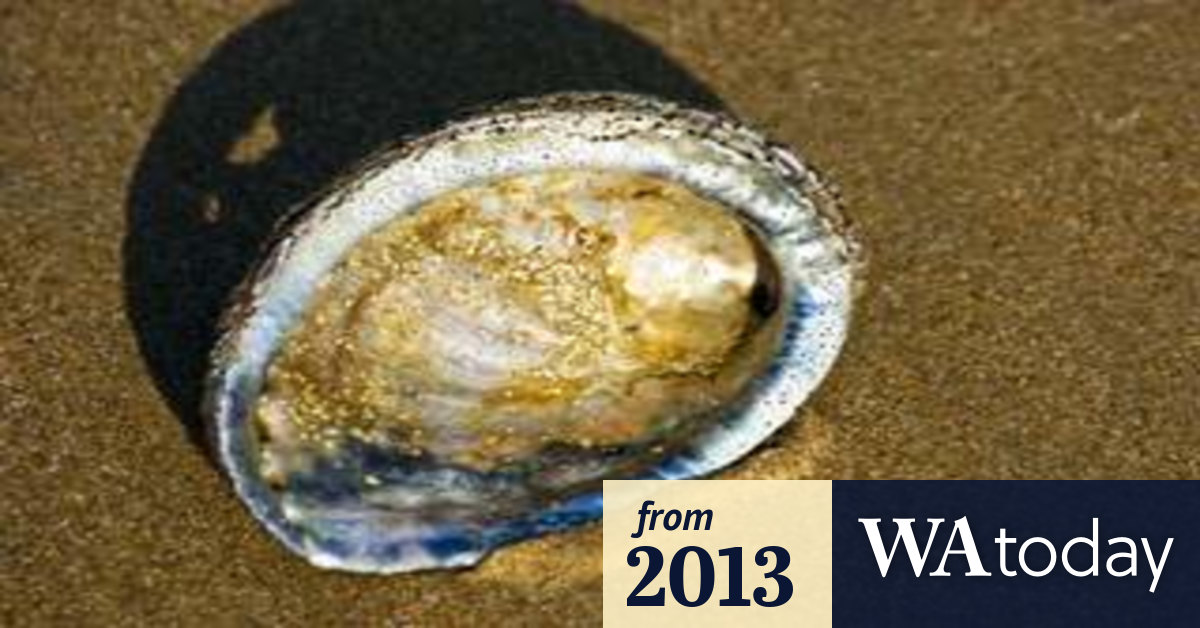 WA's first day of abalone season without tragedy