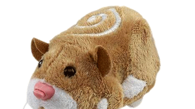 Electric guinea store pig toy