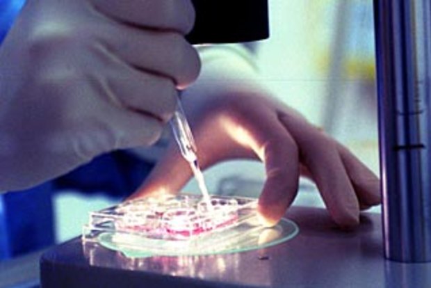 The Future Is Here How A Third Parents Dna Prevents Inherited Diseases - gx3mepj