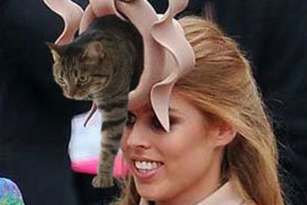 Princess Beatrice s hat takes royal wedding viral crown