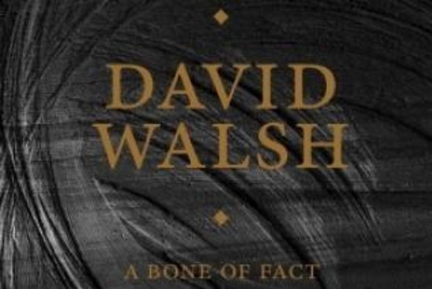 David Walsh A Bone of Fact