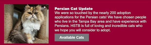 Humane Society Tampa Bay