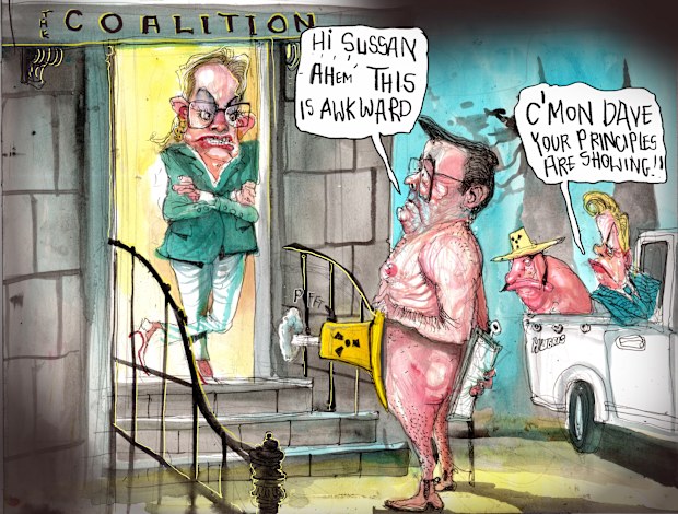 David Rowe cartoons for the Australian Financial Review January 2025
