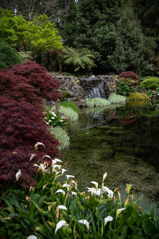 After the fires: The glorious colours of the Blue Mountains gardens