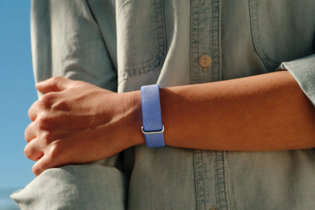 Google Fitbit Air