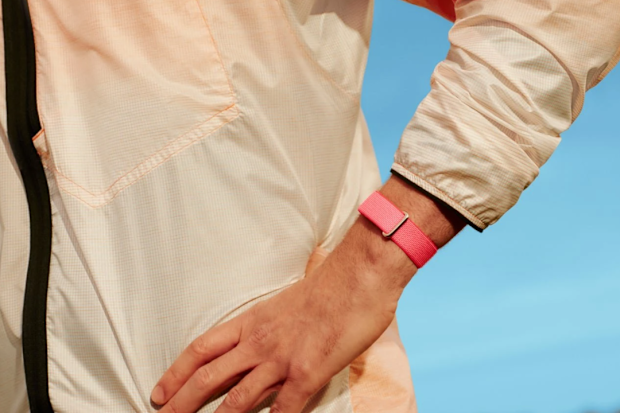 Google Fitbit Air