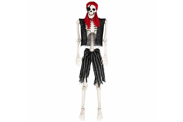 Skeleton