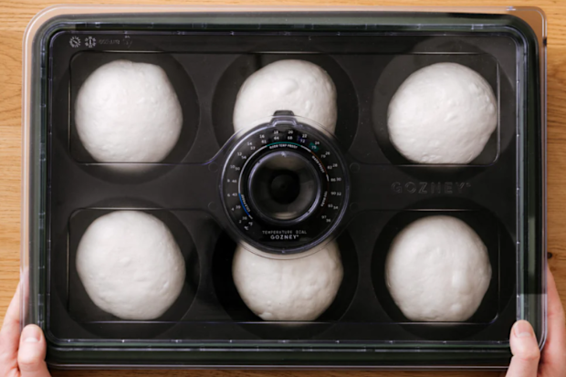 Gozney dough ball storage