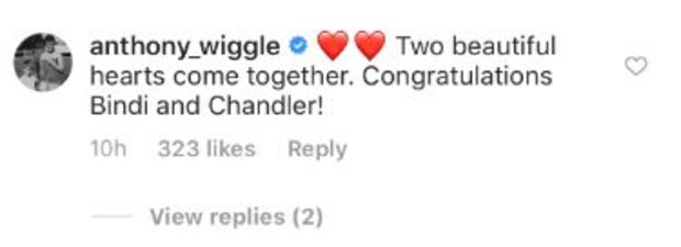 Bindi Irwin, Chandler Powell, wedding, celebrities, messages, congratulations