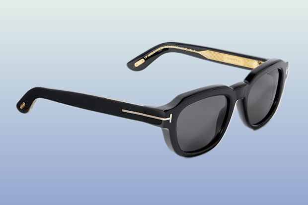 Tom Ford Eyewear Icon D-Frame Acetate Sunglasses.