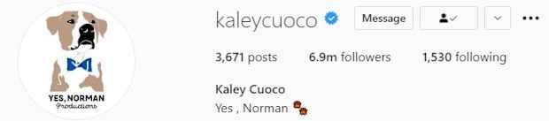 Kaley Cuoco ditches estranged husband Karl Cook from her Instagram bio.