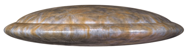 A detailed representation of the UFO the Reeds claim to have seen.