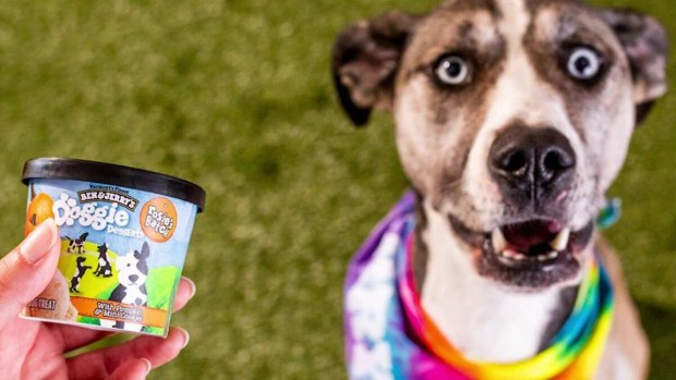 Doggie desserts: Ben & Jerry's enters the pet food business with ice cream for canines