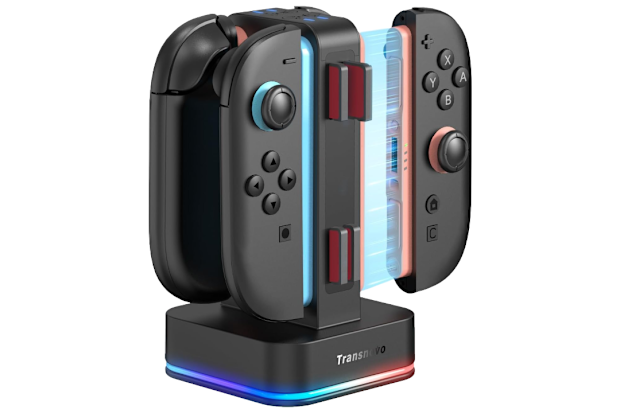  Nintendo Switch Charger