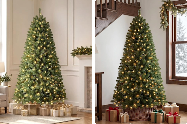 Alupssuc Christmas Tree