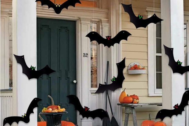 Hanging bats
