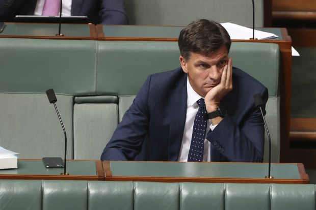 Angus Taylor sees the need for a gas plant. 