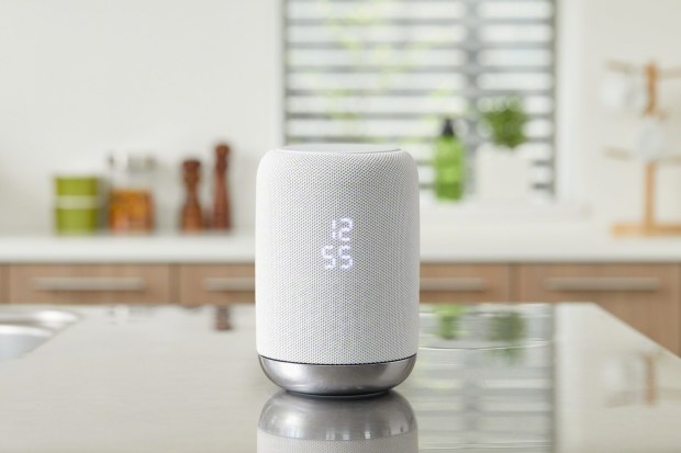 Google Assistant speaker