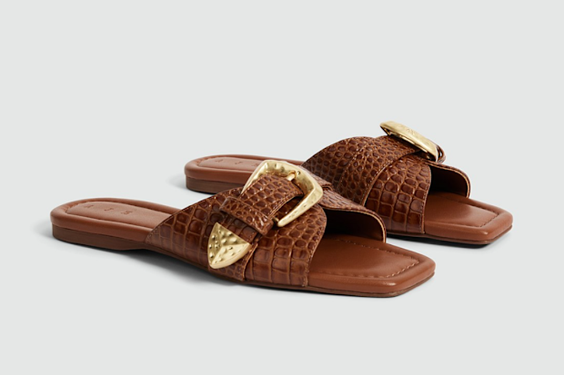 Aje Xanthe Slides