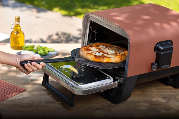 Ninja WoodFired Pizza