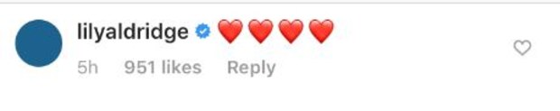 Miley Cyrus, split, statement, celebrities comment, Lily Aldridge