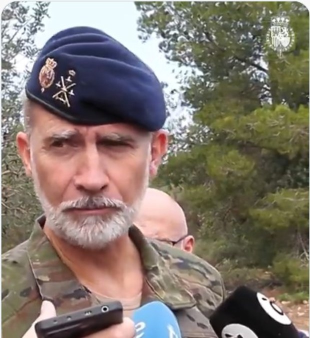 Spain’s King Felipe was visiting a military base on Wednesday when he was told of a deadly collision between two high-speed trains in the province of Toledo, killing more than 60 people.