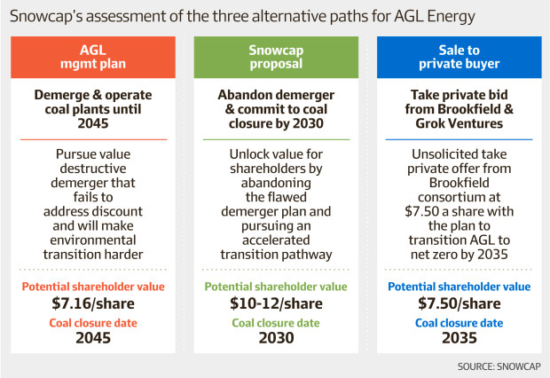 Mike Cannon Brookes AGL Demerger benefits a fantasy says Snowcap