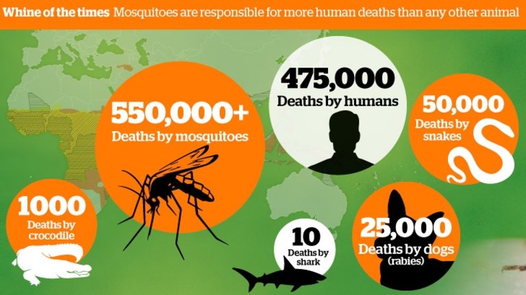 How Many Mosquitoes are Killed Each Day? Unveiling Numbers
